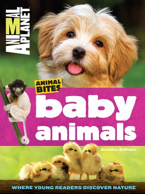 cover image of Baby Animals